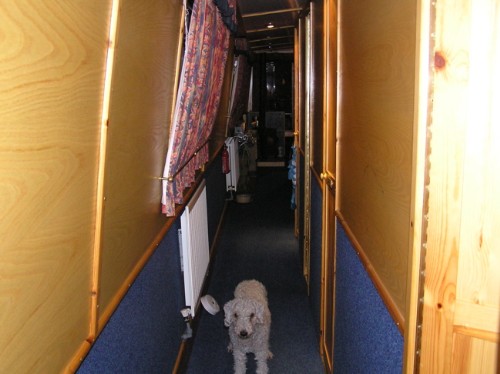 Boo in corridor aboard Frabjous Day